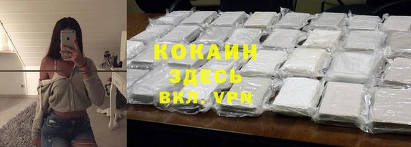 шишки Балахна
