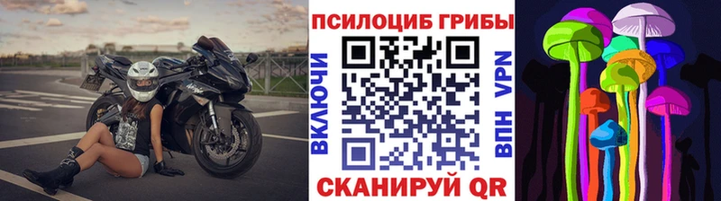 где найти   Майкоп  даркнет Telegram  Псилоцибиновые грибы прущие грибы 
